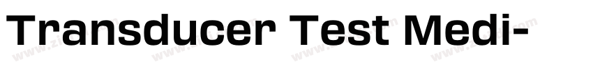 Transducer Test Medi字体转换